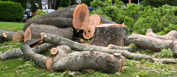 Best Commercial Tree Services  in Prichard, AL